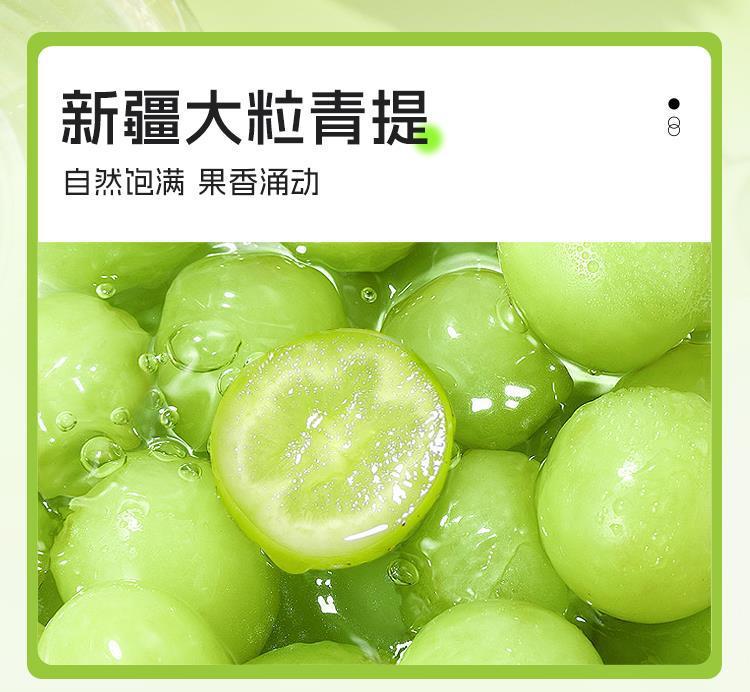 Green Grape Jasmine Green Tea Fruity Cold Brew Tea Bags Sugar Free 3g x 20 Pyramid Bags key features