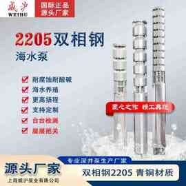 2205双相钢海水泵大流量高扬程海水提升泵耐腐蚀耐酸碱海水养殖泵