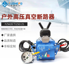 FZW28��VSP5��/T1250-25�����ѹ���ɷֽ�������ն�·��