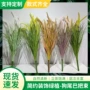 电商仿真跨境露营洋葱草