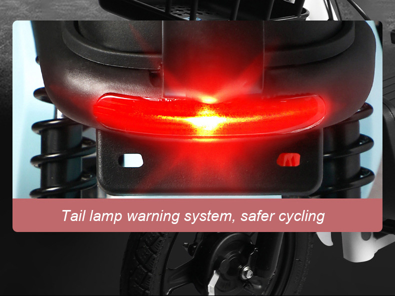 Custom Electric Bicycle, New National Standard, 48V 60V