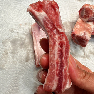 ������2141�����������i���������´��Ź� �������͏d������ʳ��