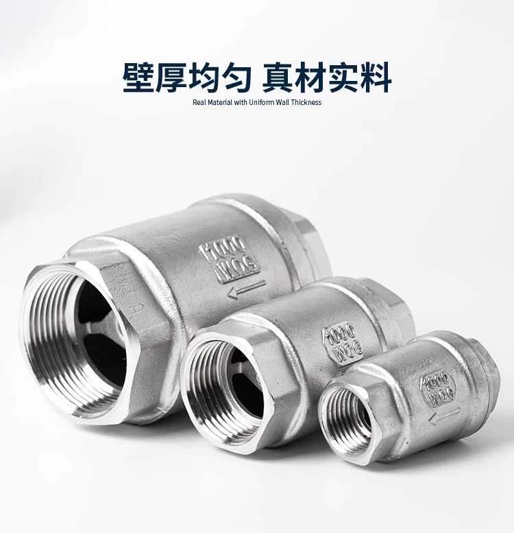 304不锈钢立式止回阀H12单向止逆阀水泵弹簧真空水管软密封1寸2寸