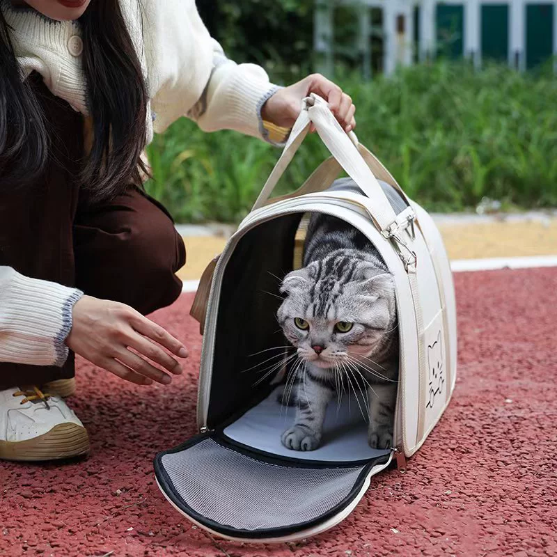 «(Cross-border trading), handheld portable capacious backpack to go out, shoulder bag»