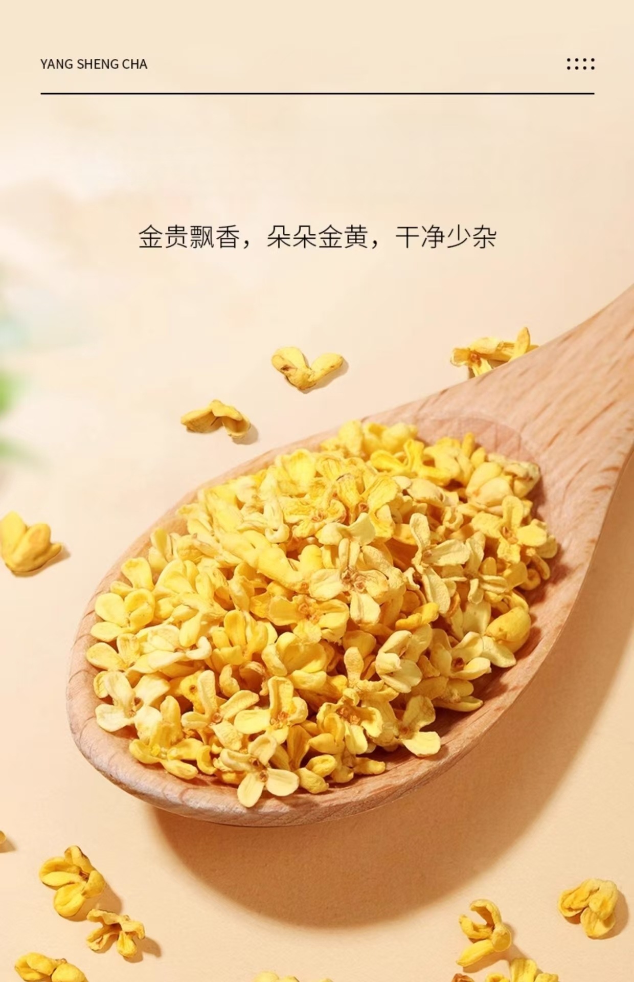 Osmanthus Tangerine Peel Barley Tea 100g 20 Pyramid Tea Bags Hot Brew Daily Wellness Drink in use