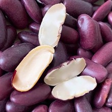 ��ϼt�����r���ԷN��t���tܿ���t����ʳ������s�Z������l