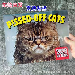 2026 Peed-Off Cats Wall Calendar, Interesting Cat Expression Pack, a Gift for Cat Lovers