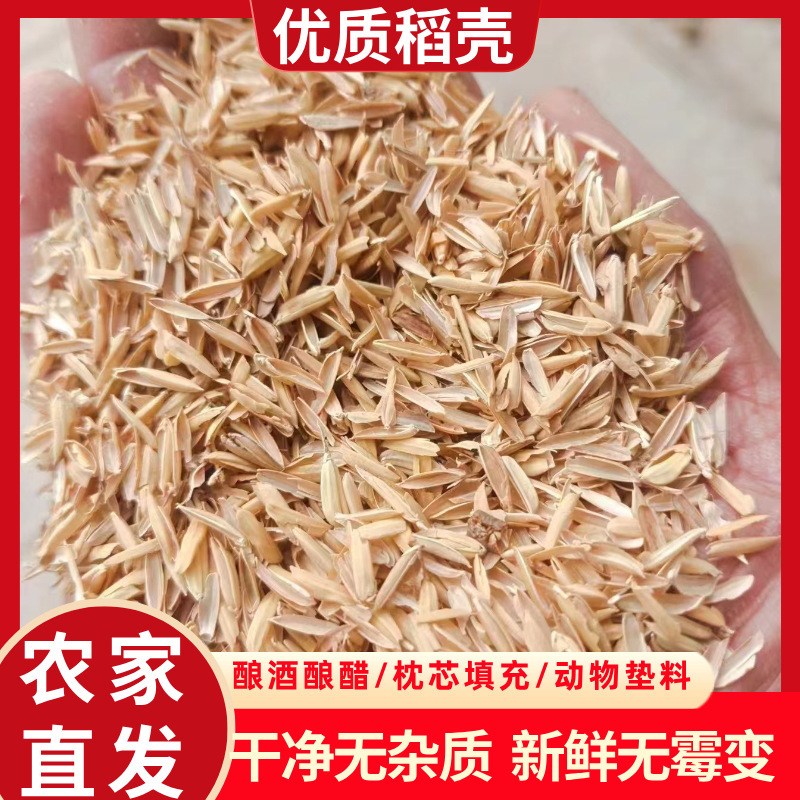 Rice Husks Are Used for Brewing, Fermenting, as Feed for Cattle, Sheep, and Chickens, as Pet Bedding, and for Greenhouse Planting; Rice Husks Are Used to Loosen Soil and Improve Soil Aeration Rice Husks Are Used for Brewing, Fermenting, as Feed for Cattle, Sheep, and Chickens, as Pet Bedding, and for Greenhouse Planting; Rice Husks Are Used to Loosen Soil and Improve Soil Aeration