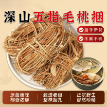 ��ָë�������l�V�|Ұ��������ָë�Ҹ�ţ�̸����������Ҝ�����