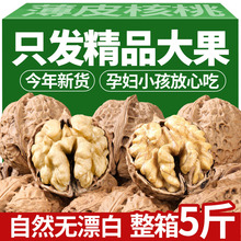 薄皮核桃批发价云南薄皮生核桃带壳原味散装批发坚果零食新货核桃