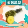 海南送礼应季新鲜水果