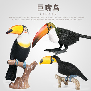 �羳��������w�B��Ϭţ�����Bģ��������z���Ĕ[����ͯ�J֪�Y��