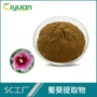 慈缘咨询库存生物提取物