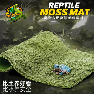 Insect Climbing Box Moss Carpet Moss Base Mat Land Turtle Box Landscape Climbing Pet Snake Horned Frog Lizard Palace Shougong Feeding Box Mat Material