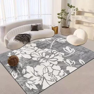 水晶绒简约地毯客厅地毯沙发茶几毯子卧室房间地毯吸水地垫carpet