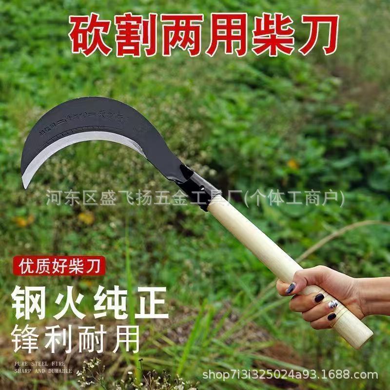 微信图片_202505121040112.jpg