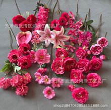 õtɫϵٻ 滨õcֹ ӆYñb