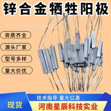 ZP-2\ϽꖘO عܾ\ꖘOAb15\ꖘO