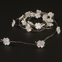 25�^���~�ݟ����׻������~�������l�Շ��������;�Ɍ�����