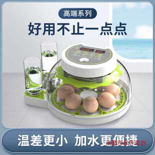 Parrot Bird Egg Incubator Small Household Fully Automatic Intelligent Egg Incubator Rutin Chicken Small Flying Saucer Incubator