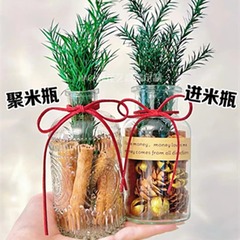 シナモン生財瓶の狭い口の大きい腹は富の幸運な扉のガラスの枕元の香薫insを集めて部屋の装飾を飾っています。