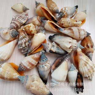 �������󡷺ڿ�����Ȼؐ�����ݺ����~�׵��к���̨DIY΢���^���l