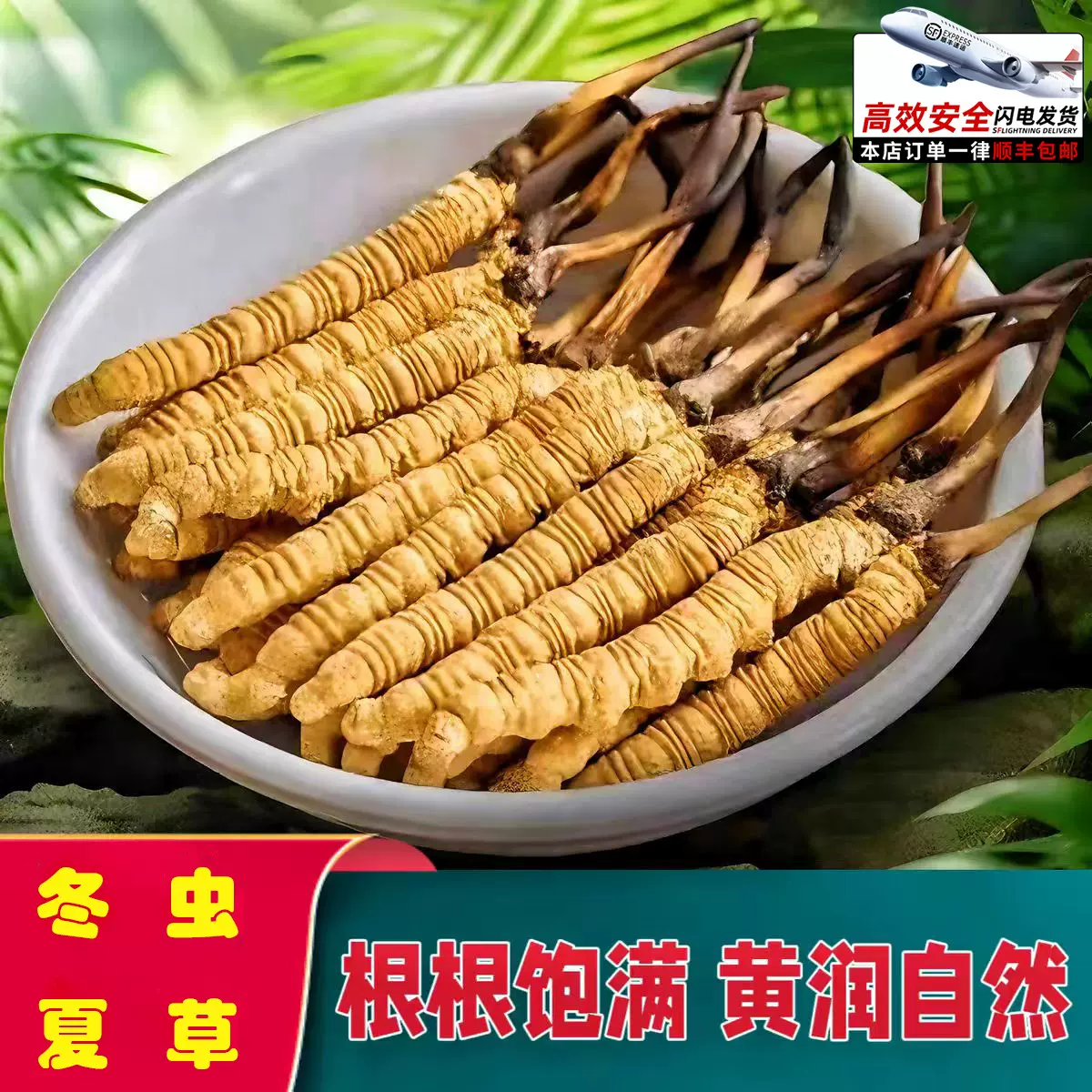 正宗冬虫夏草礼盒全规格批发年货送礼虫草送礼整草干货礼盒装