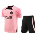 2324 paris pink
