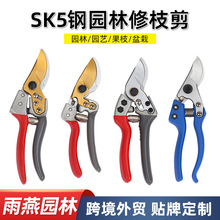 跨境sk5钢修枝剪园艺剪刀花卉果树嫁接用园林剪果枝粗枝树枝剪刀