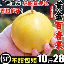 �V���S��J��9̖�����5����]�ش����10�����rˮ���������侧��