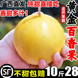 �V���S��J��9̖�����5����]�ش����10�����rˮ���������侧��