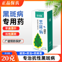 厂家戊唑醇黑斑病花卉绿植月季落叶病白粉病纹枯病黑星病批发代发