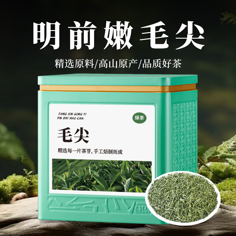 绿茶信阳毛尖2025新茶正品明前头采嫩芽浓香型绿茶罐装茶叶自己喝|undefined
