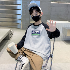 Boy's Long-Sleeve T-Shirt Spring and Autumn Style 2023 New Children's Hoodie Autumn Medium and Large Children's Clothing Boy 8 Top Base Shirt