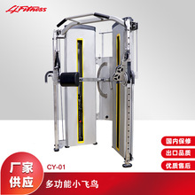 �¿��������˹�๦��С�����ۺ�ѵ��һ���˫�ۻ�ѵ����