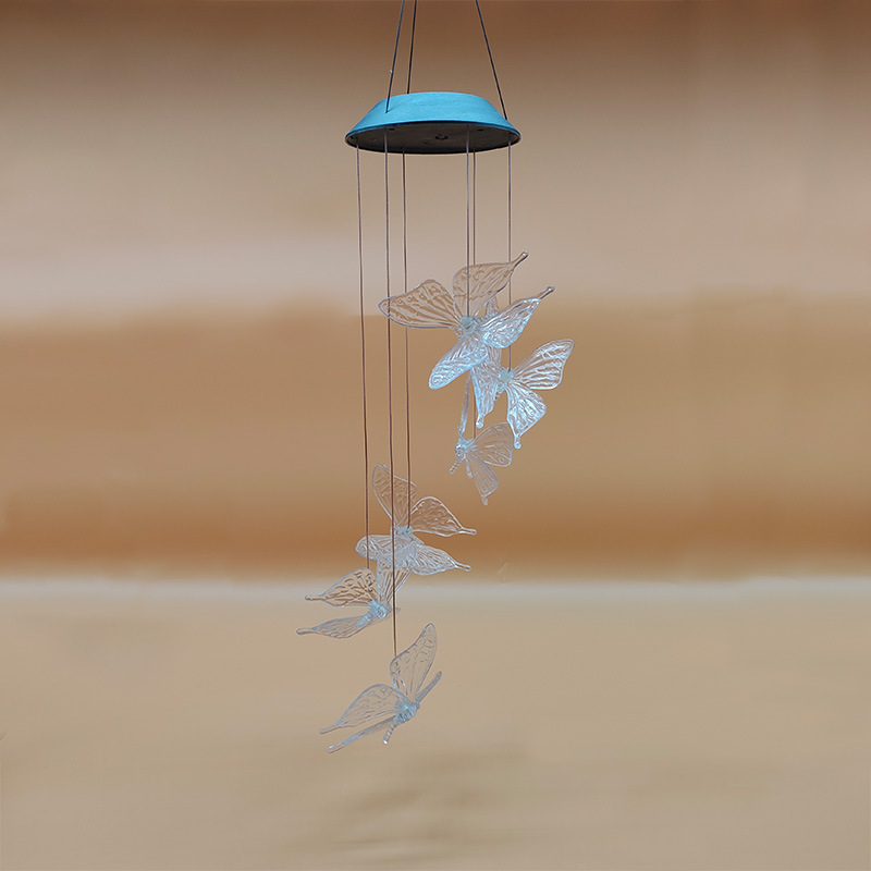 투명한 큰 나비