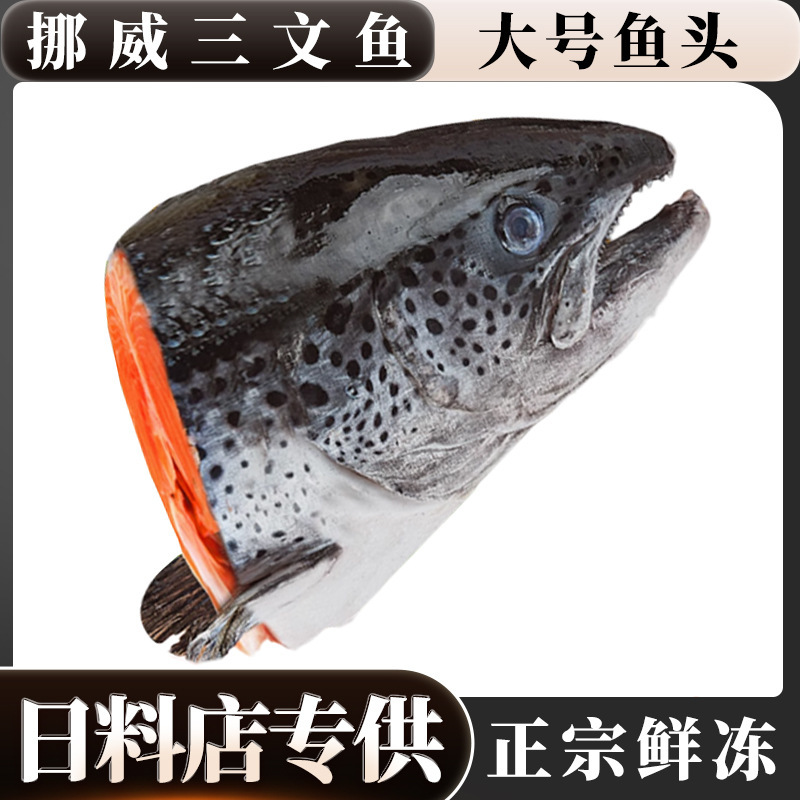 Norwegian Salmon Heads, Atlantic Salmon Large Fish Heads, Commercial Wholesale Seafood, Salmon Heads for Commercial Distribution and Wholesale