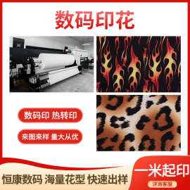 数码热转印花型时尚豹纹服装裙子裤子涤纶面料印花加工数码印花