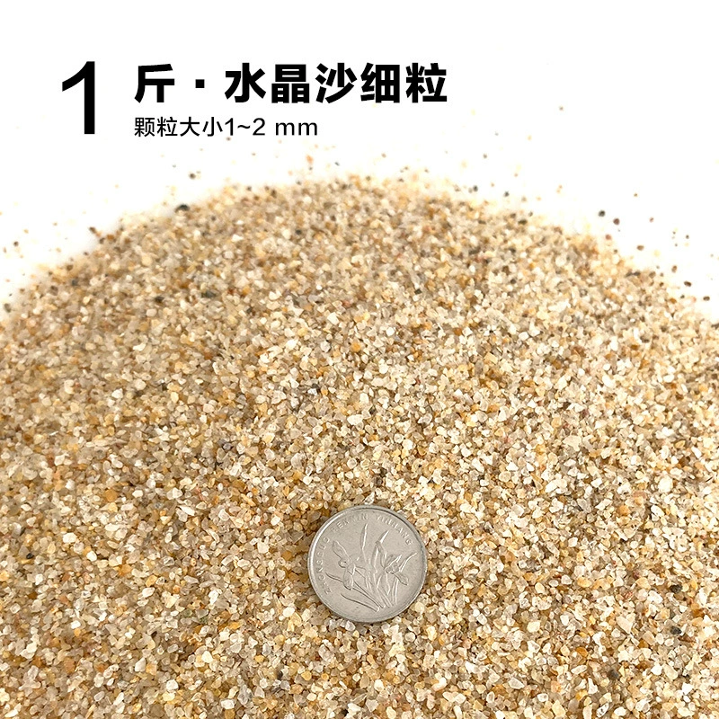 楸肩几搴曠爞閫犳櫙搴曟矙涔岄緹娌虫矙鍖栧