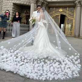 新娘超仙拖尾花边蕾丝新款森系长款网红结婚婚礼大头纱