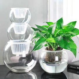 厂家直营多种规格水培植物定植篮 水培绿萝风信子瓶口固定塑料筐