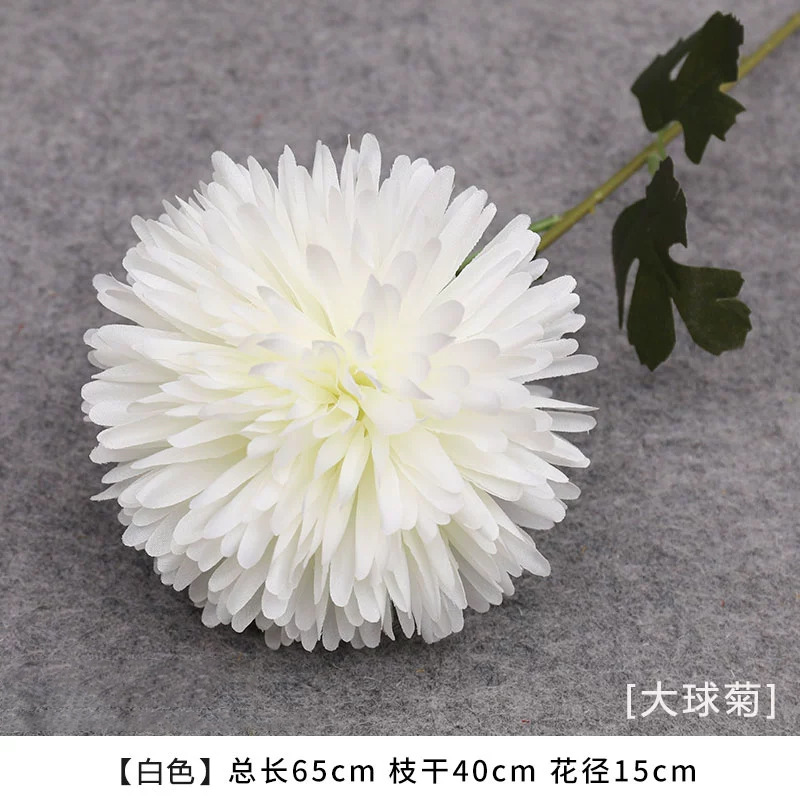 Crisantemo de la bola grande