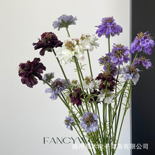 3^Ʒ|}x {軨 zӰ OӋ ߶ܛbˇ