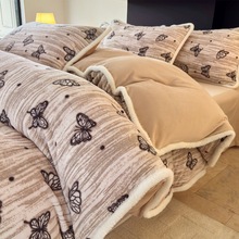 A���ţ�̽q�ļ����p��ӽq�߿��ص���ë���״��ΌW��������