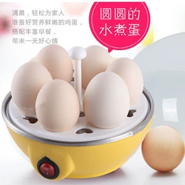 电热饭盒;煮蛋器;自动上水器