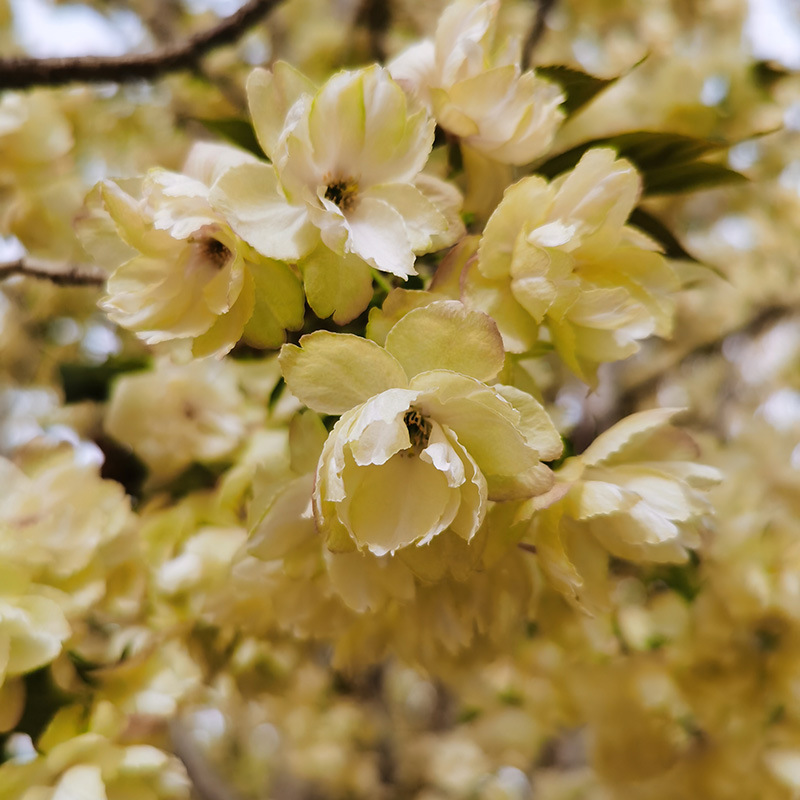 微信图片_20230818145649 副本.jpg