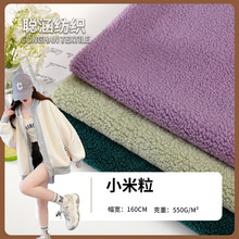 厂家现货 全涤单面米粒绒 小米粒绒布面料 秋冬童装服装外套面料