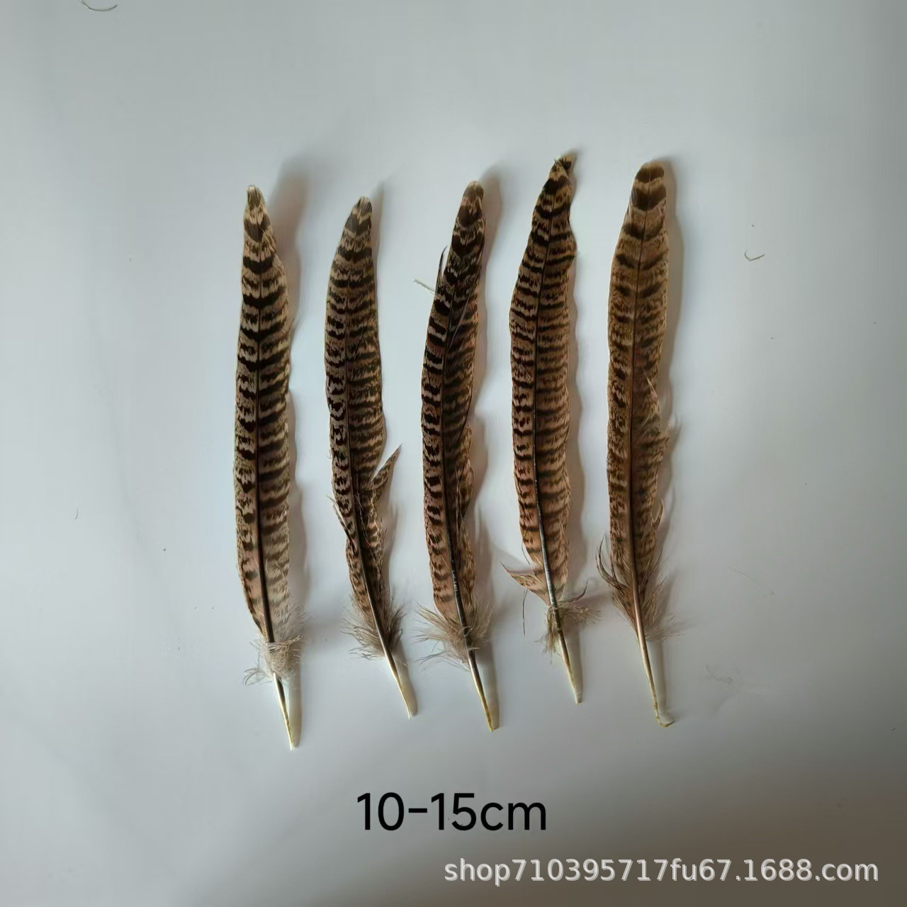 Fábrica al por mayor pelo de faisán 10-90cm cola de faisán pluma de bricolaje danza plumas de faisán cola de gallina palo de gato divertido image 6