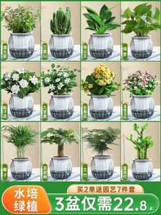 �G�}�j����ֲ��lؔ�����ԗd�ӻ��Gֲ�����k���҃ȶ���ˮ����B��