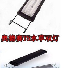 �W��ِ�~��ˮ�ݟ���T5�p��60-80cm 90-100cm 120-140cm